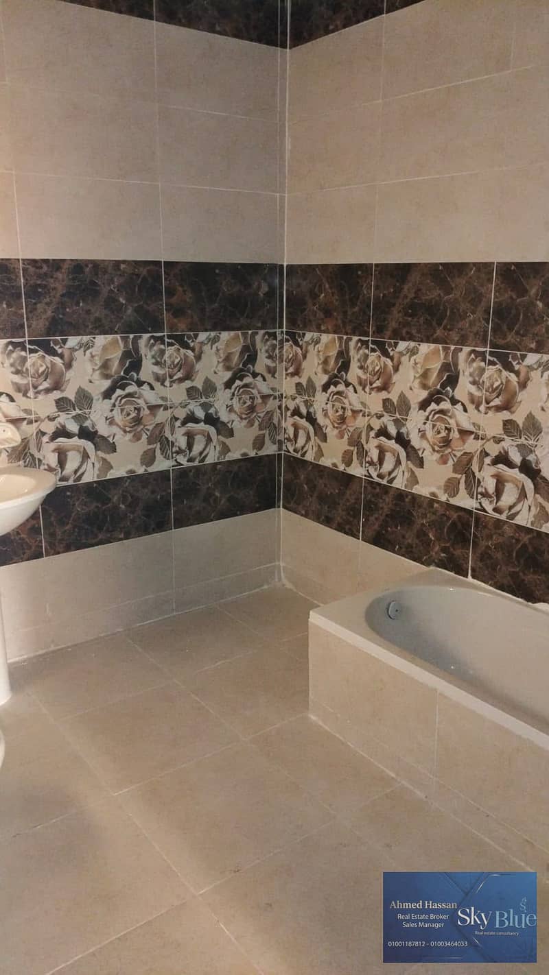 8 391294. jpg