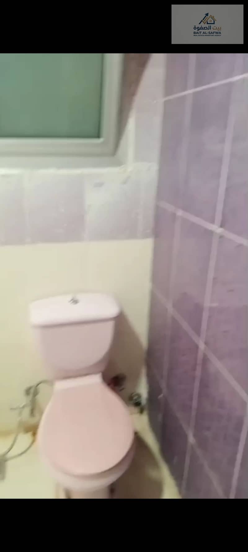 6 174175. jpg