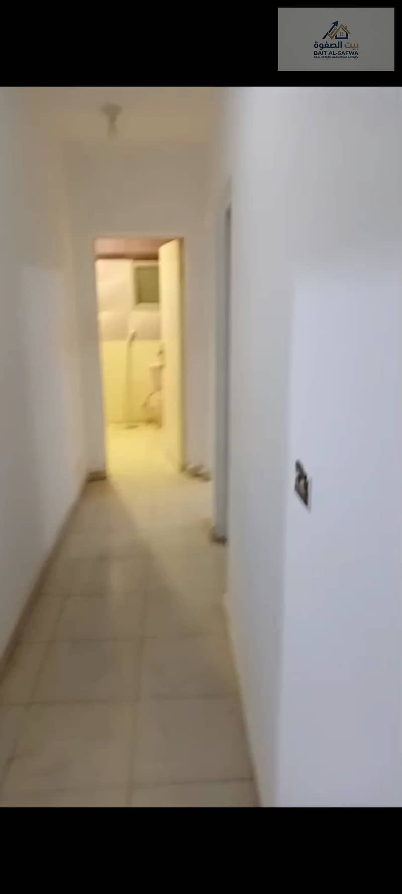 8 174167. jpg