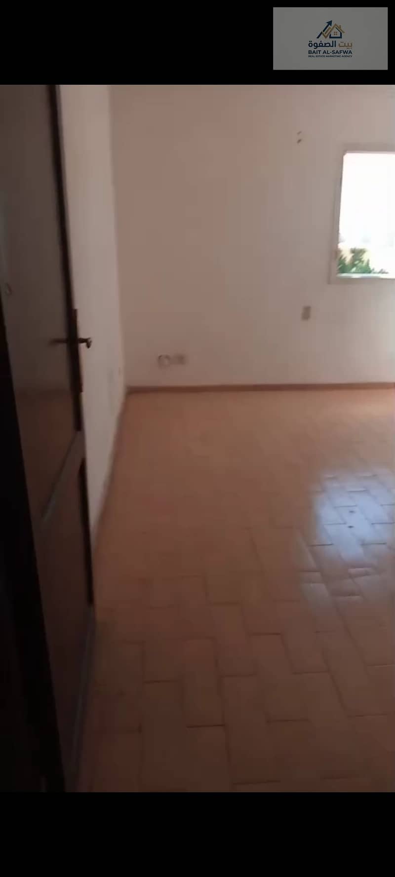 3 174188. jpg