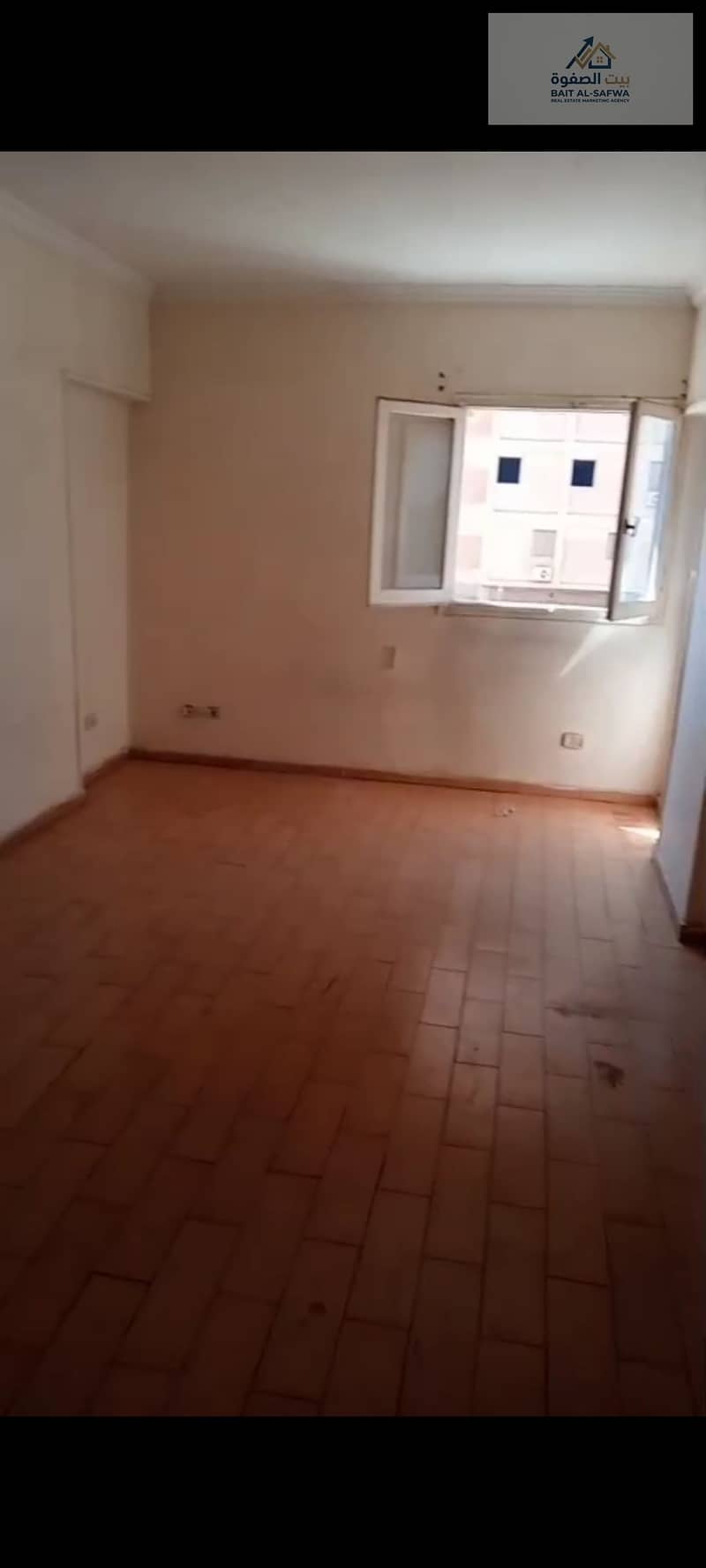4 174187. jpg