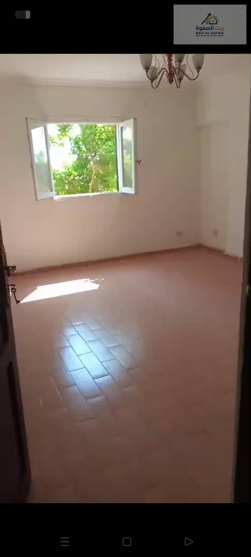 5 174186. jpg
