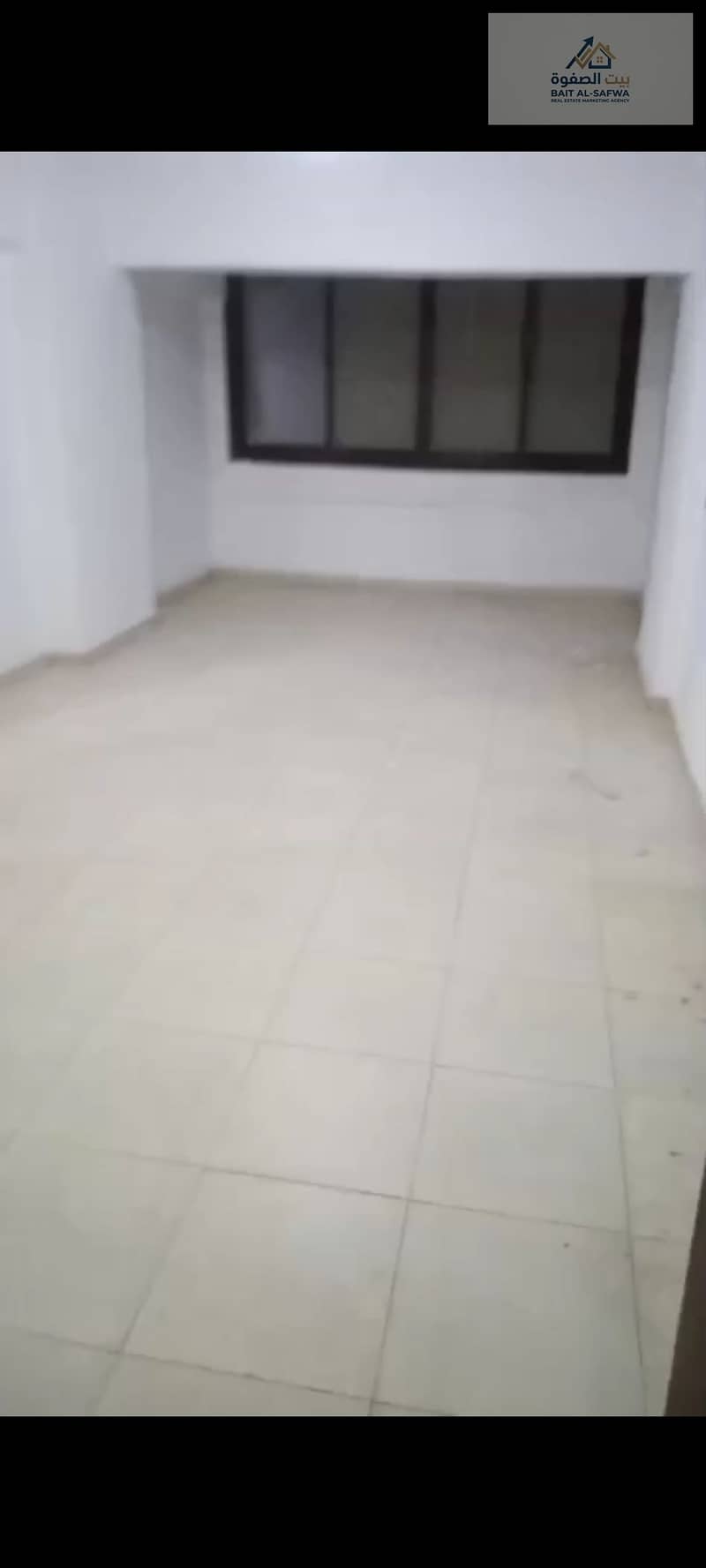 4 174163. jpg