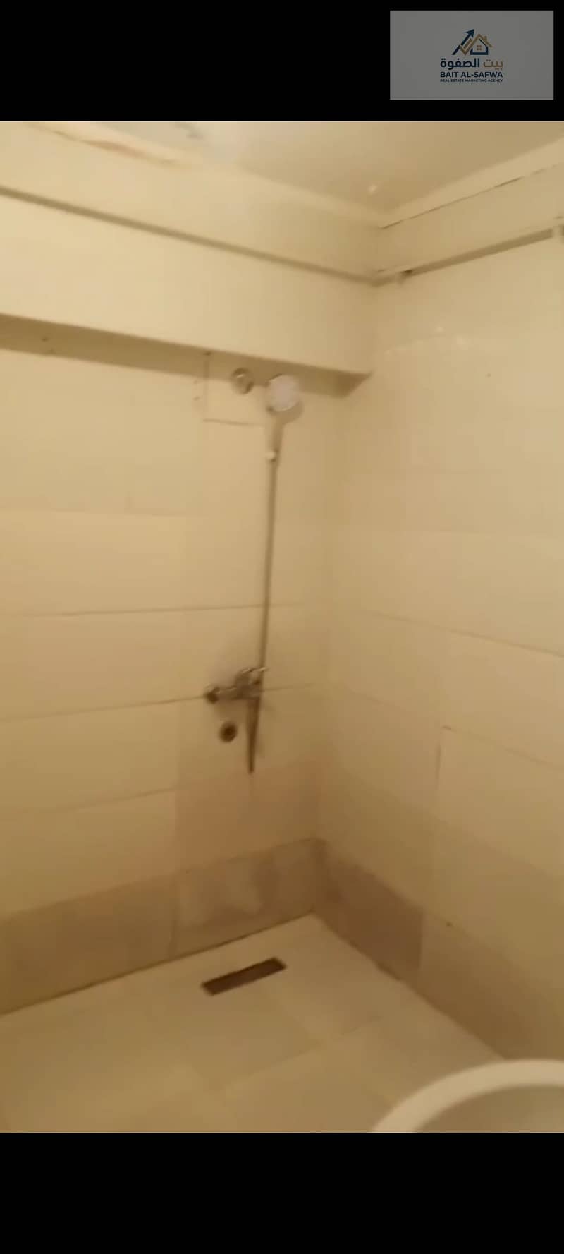 6 174215. jpg