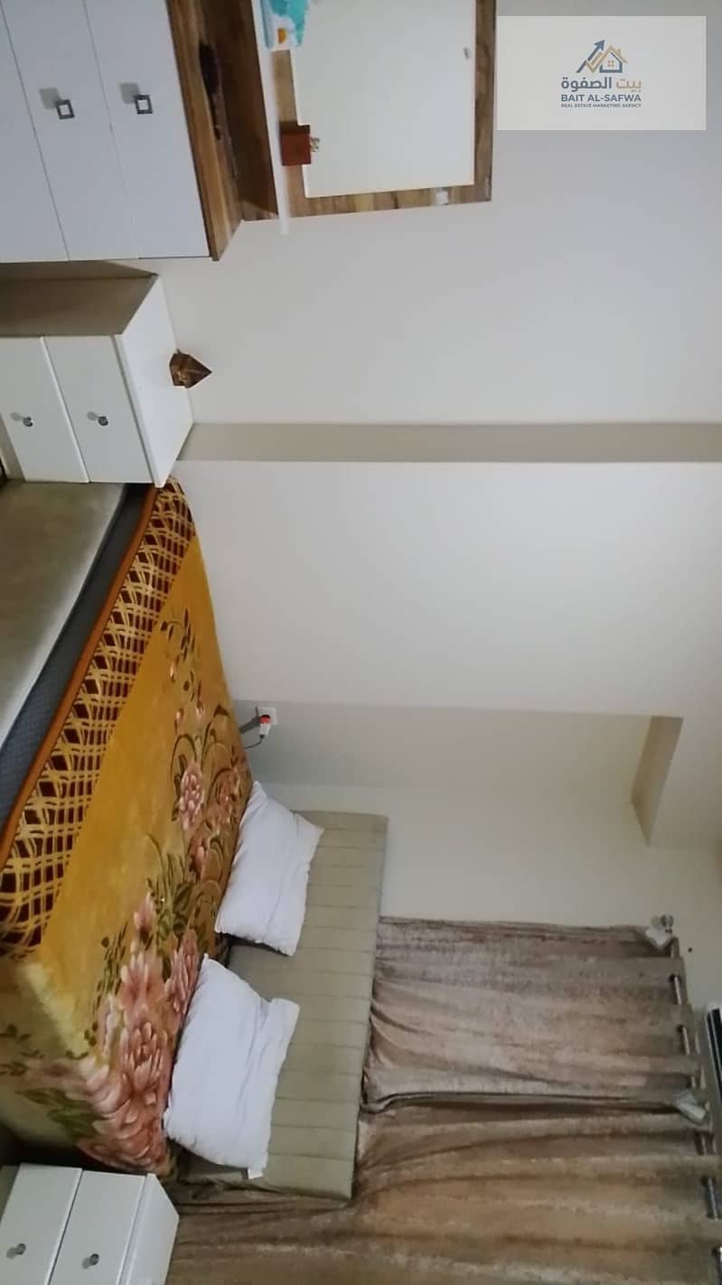 5 174131. jpg