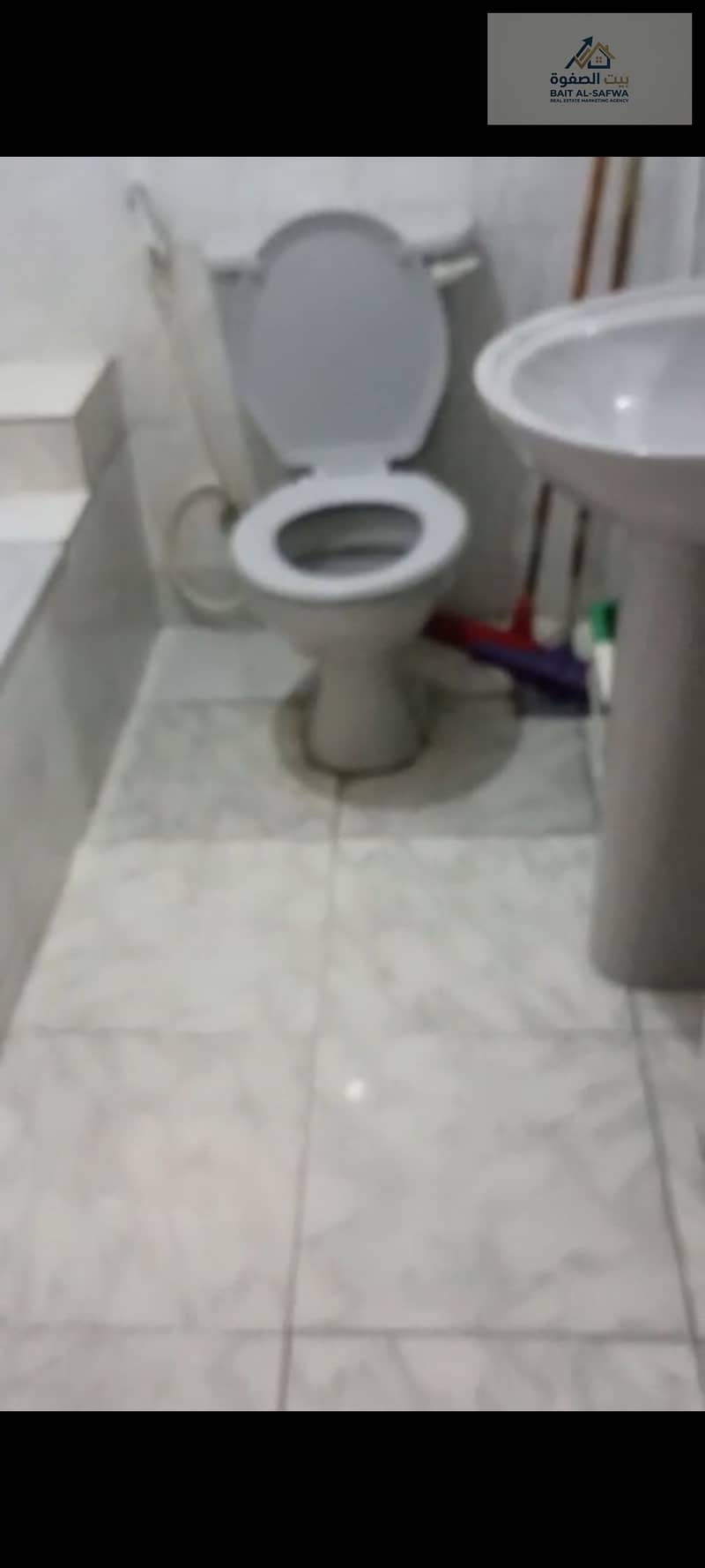 16 174246. jpg