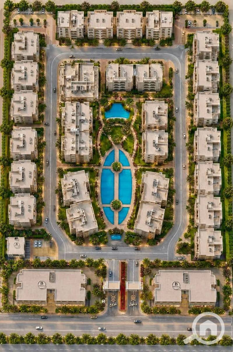 9 216701. jpg