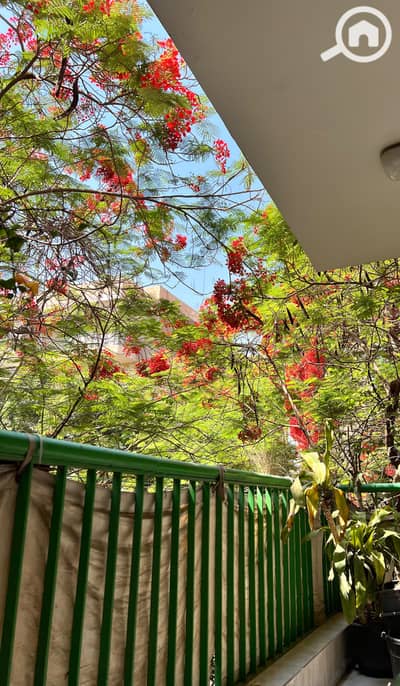 2 Bedroom Flat for Rent in Maadi, Cairo - 1000320788. jpg