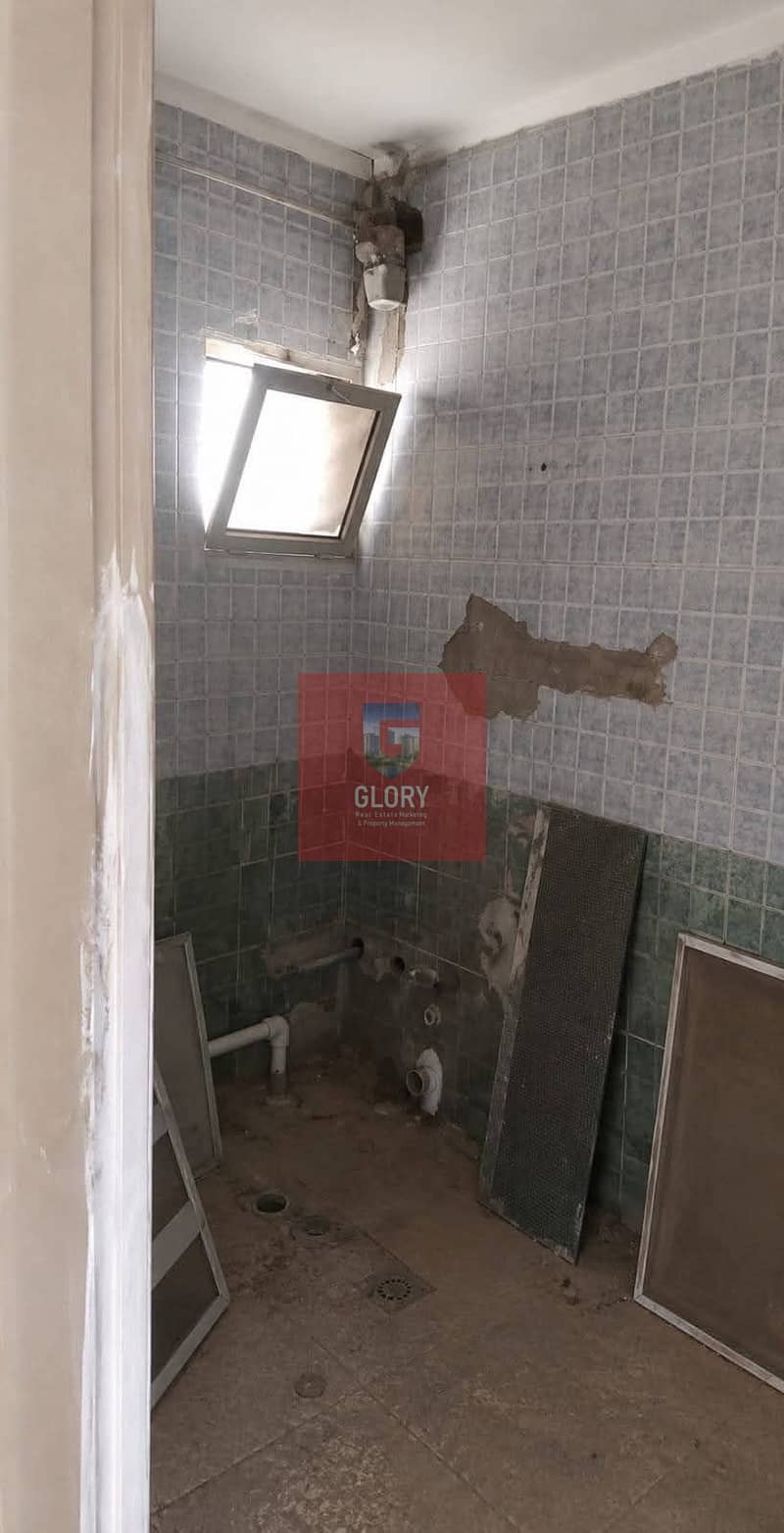 5 219668. jpg