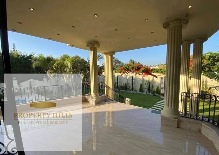 5 1001446317. jpg