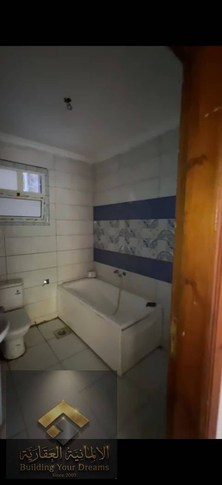 5 172376. jpg