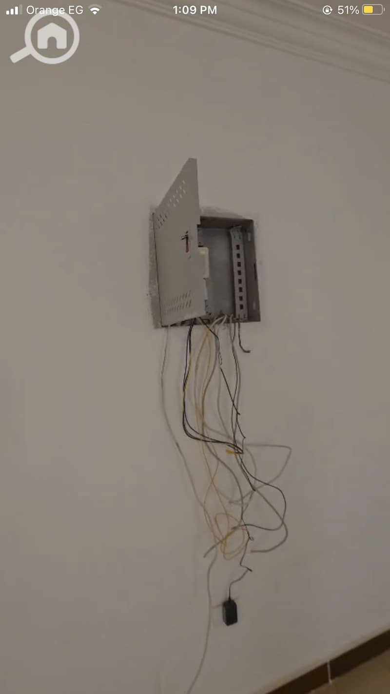 10 IMG_7690. png