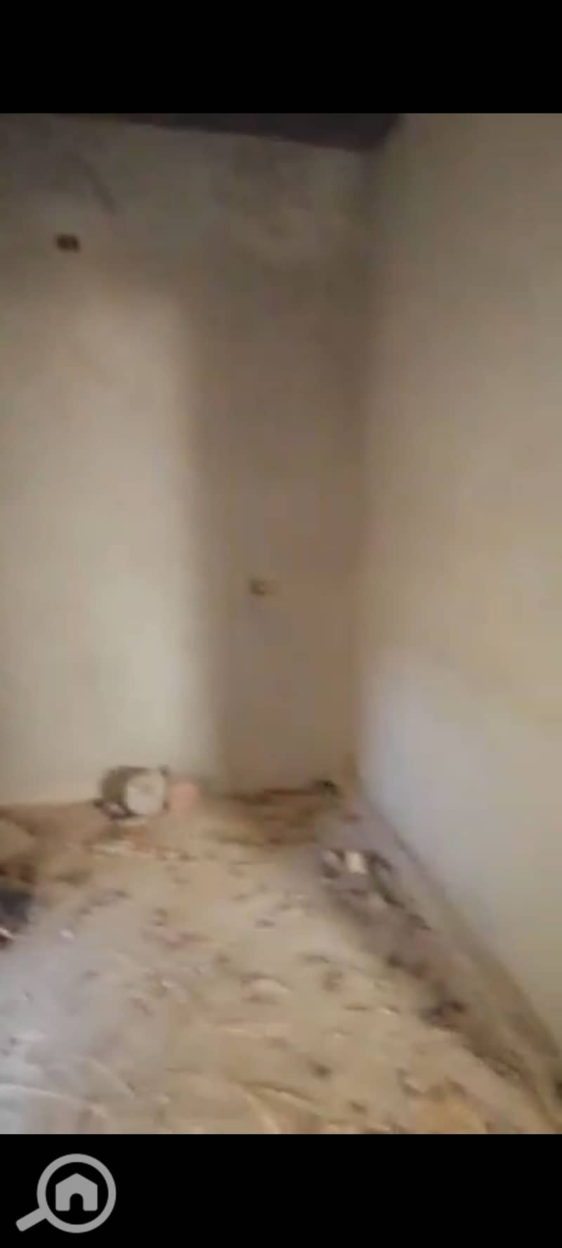 19 1001355234. jpg