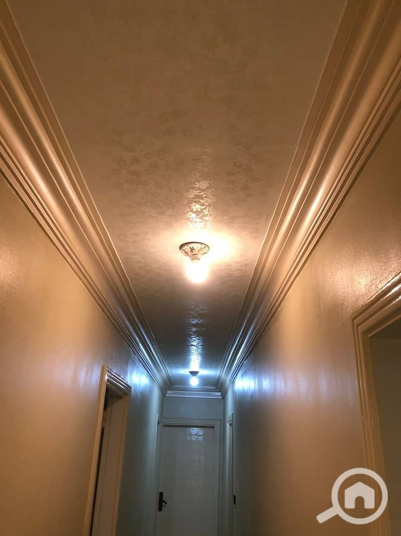 5 11701. jpg