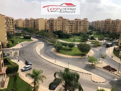 3 Bedroom Apartment for Rent in Madinaty, Cairo - 1001198561. jpg