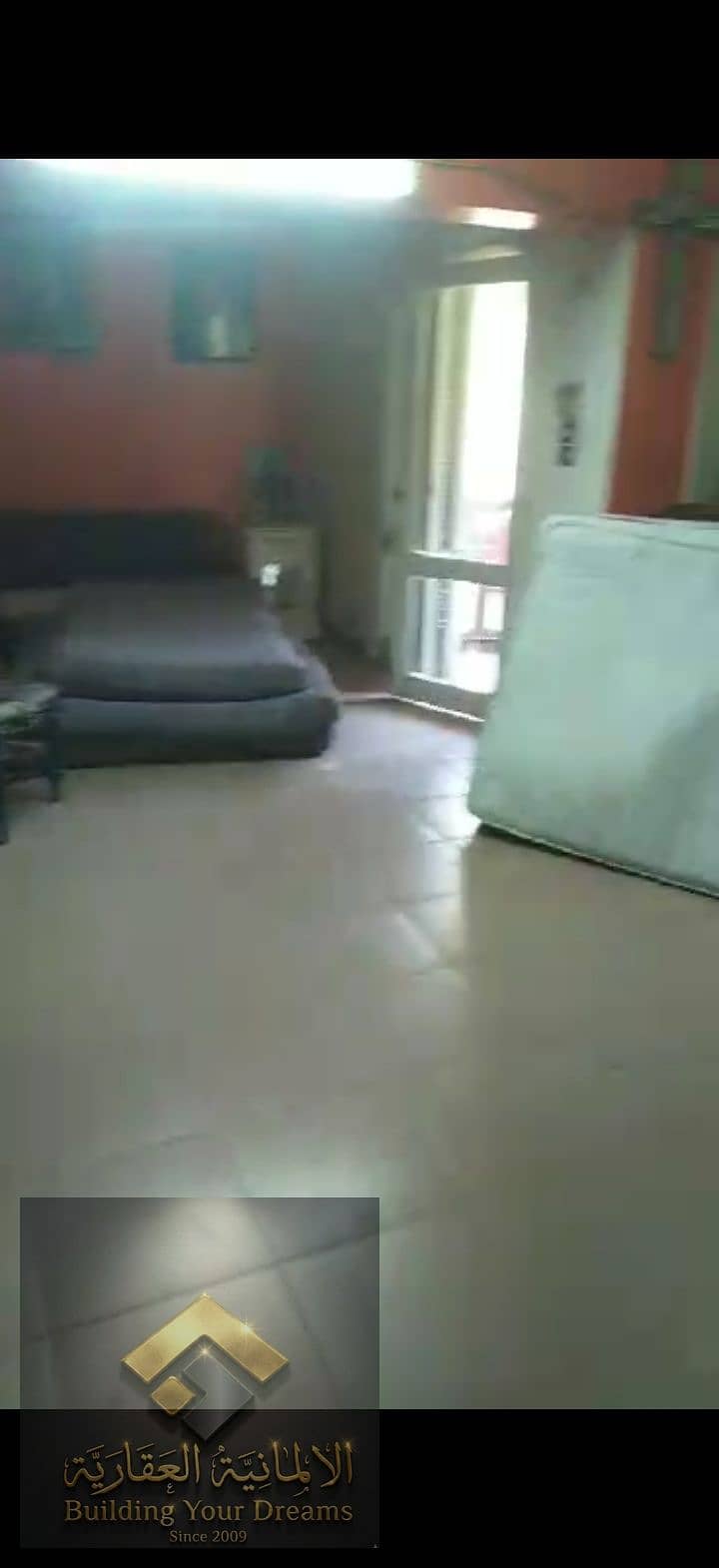 4 173263. jpg