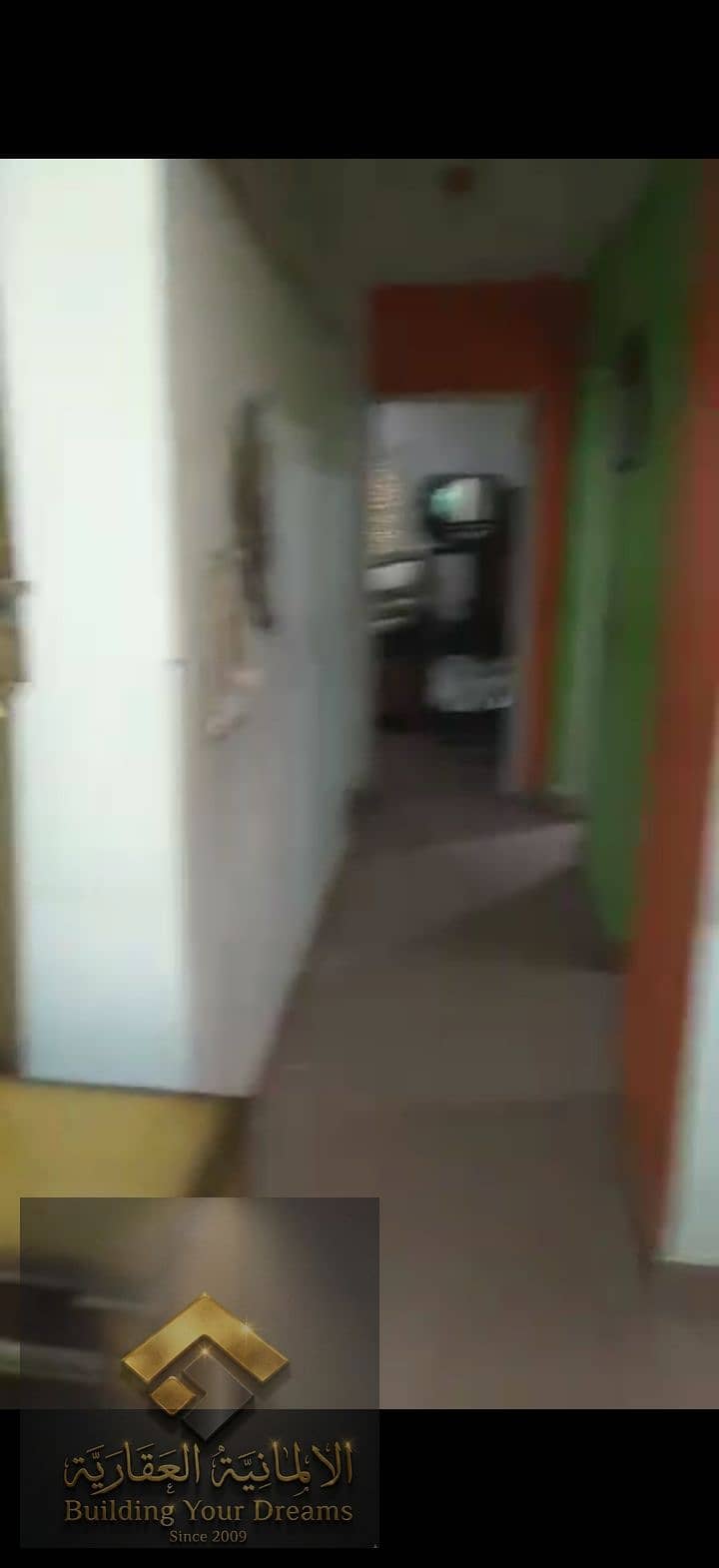 8 173266. jpg