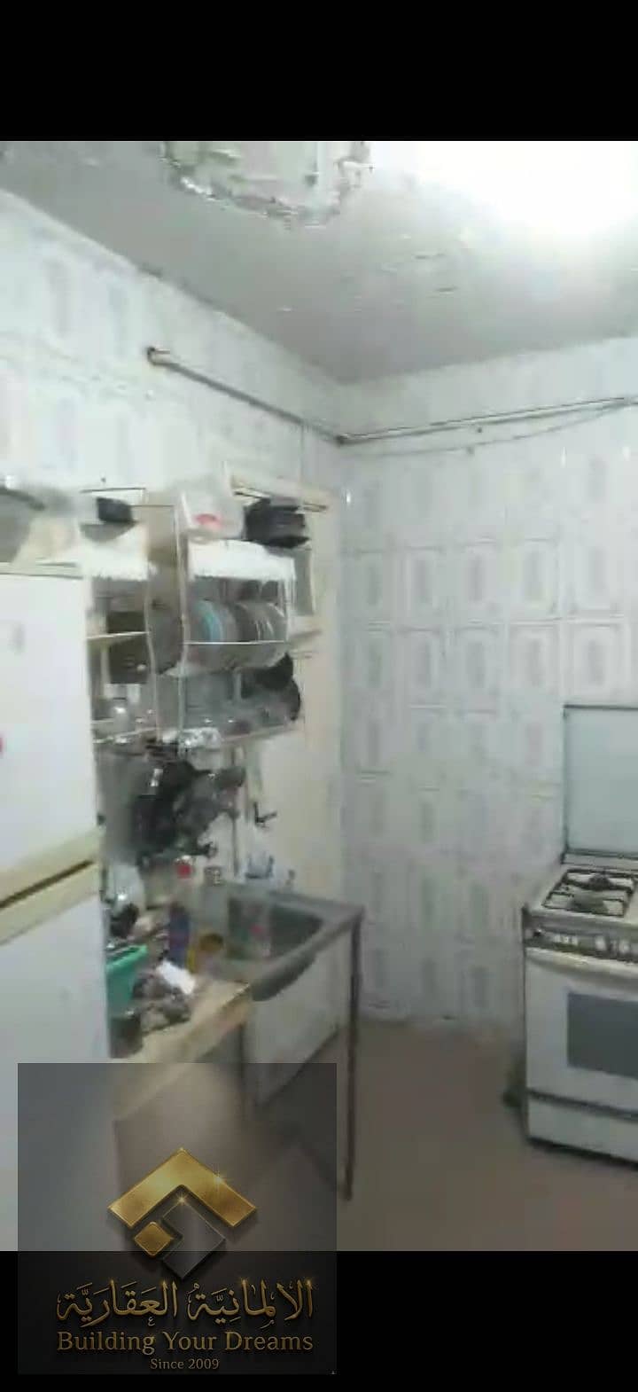 9 173269. jpg