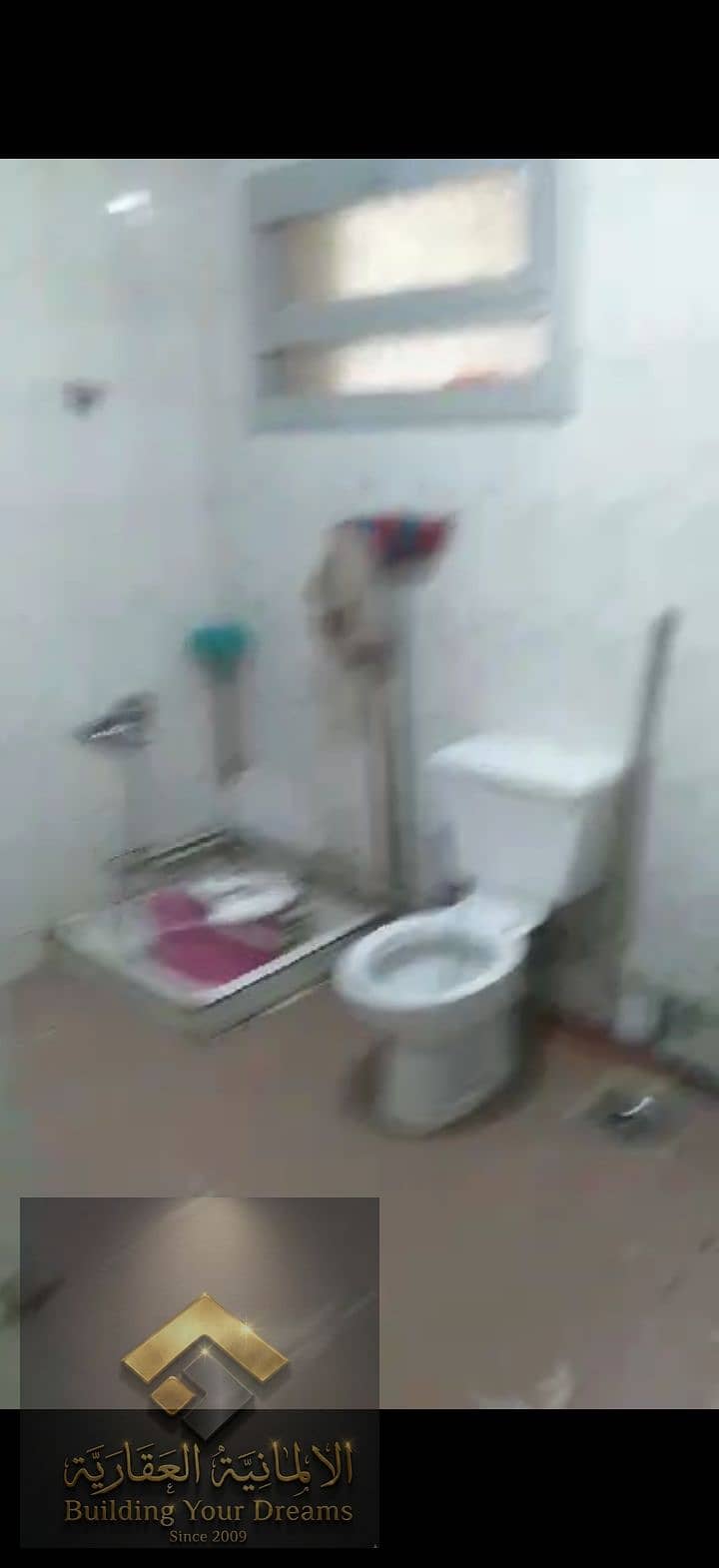 10 173270. jpg