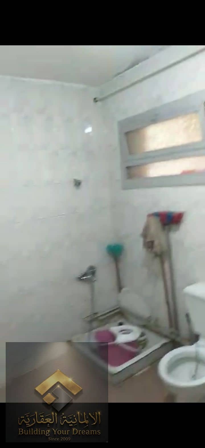 13 173272. jpg