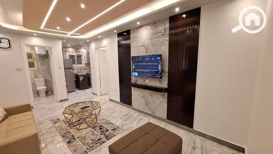 Studio for Rent in Nasr City, Cairo - 1000500912. jpg