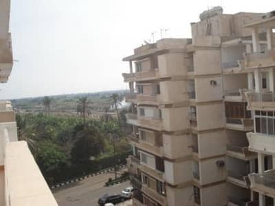 2 Bedroom Flat for Sale in Maamoura, Alexandria - شقة في كمبوند المعمورة الشاطئ 2 Bedroom Flat for Sale in Maamoura, Alexandria - شقة في كمبوند المعمورة الشاطئ