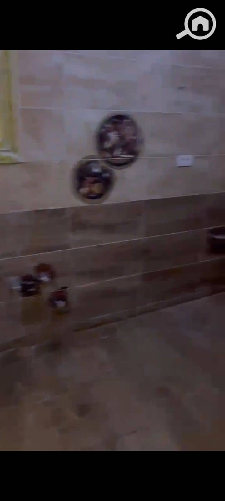 9 1000099847. jpg