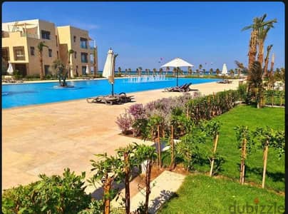 2 Bedroom Chalet for Rent in Gouna, Red Sea - شاليه للايجار في الجونه أرضي بجاردن مباشر علي البول في منجروفي