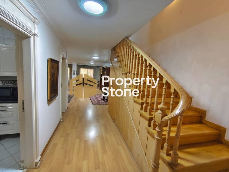 3 245974. jpg
