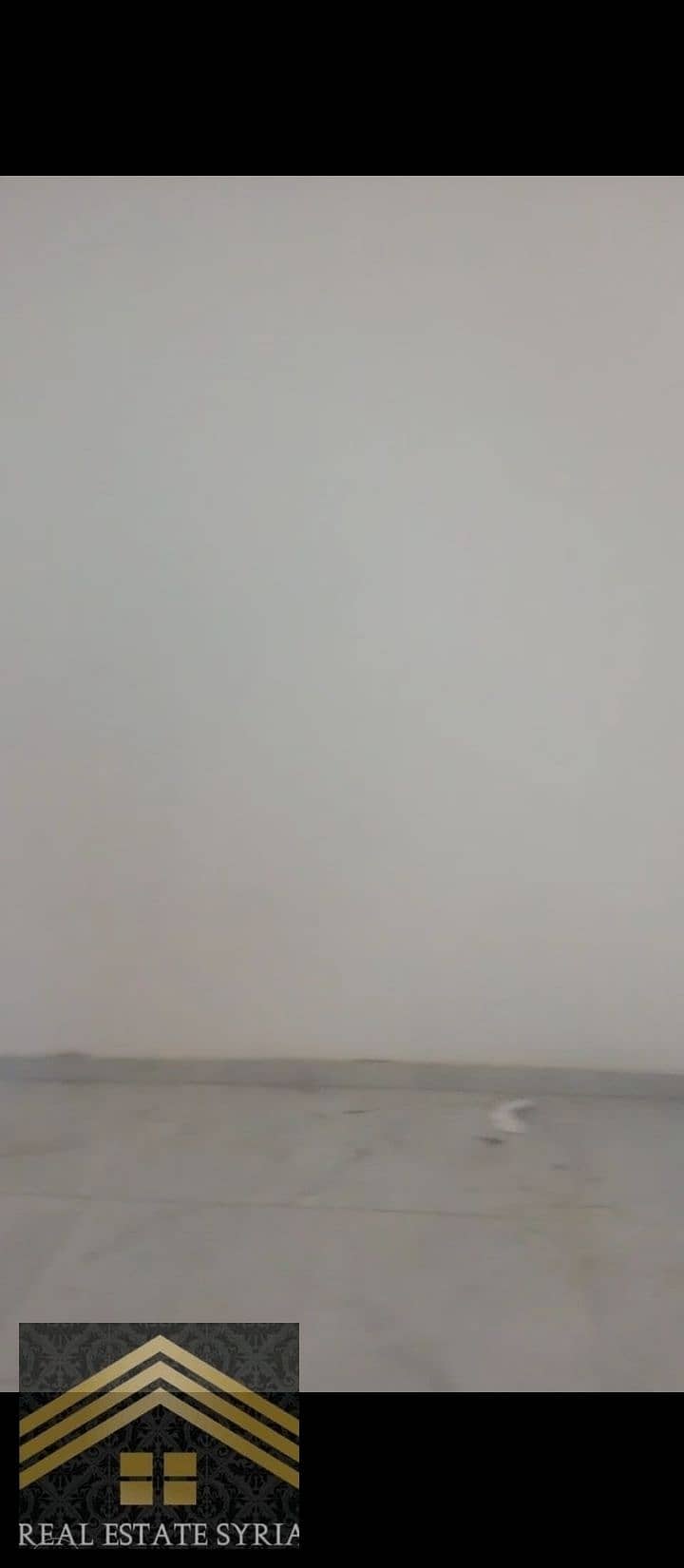 6 1000559401. jpg
