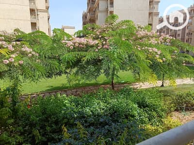 3 Bedroom Apartment for Rent in Madinaty, Cairo - 1000333795. jpg 3 Bedroom Apartment for Rent in Madinaty, Cairo - 1000333795. jpg