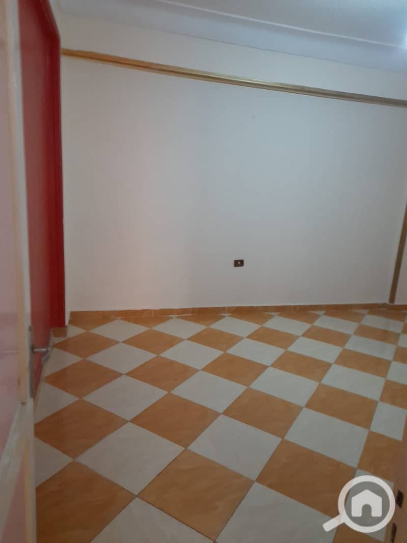 4 6154. jpg