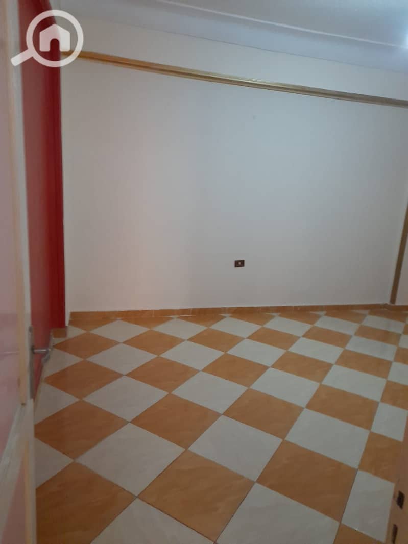7 6154. jpg