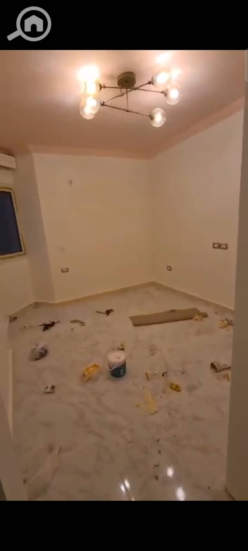 8 33636. jpg