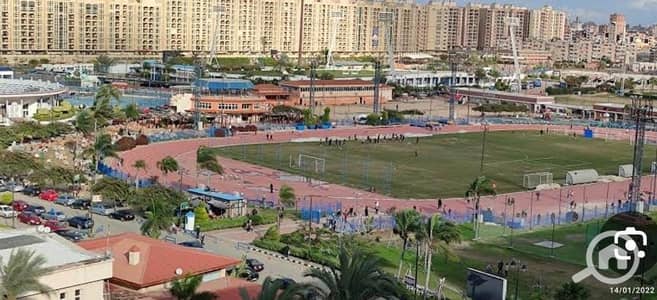 شقة 3 غرف نوم للايجار في سموحة، الإسكندرية - 1000382234. jpg
