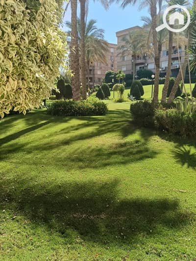 شقة 3 غرف نوم للايجار في القاهرة الجديدة، القاهرة - 1000788603. jpg
