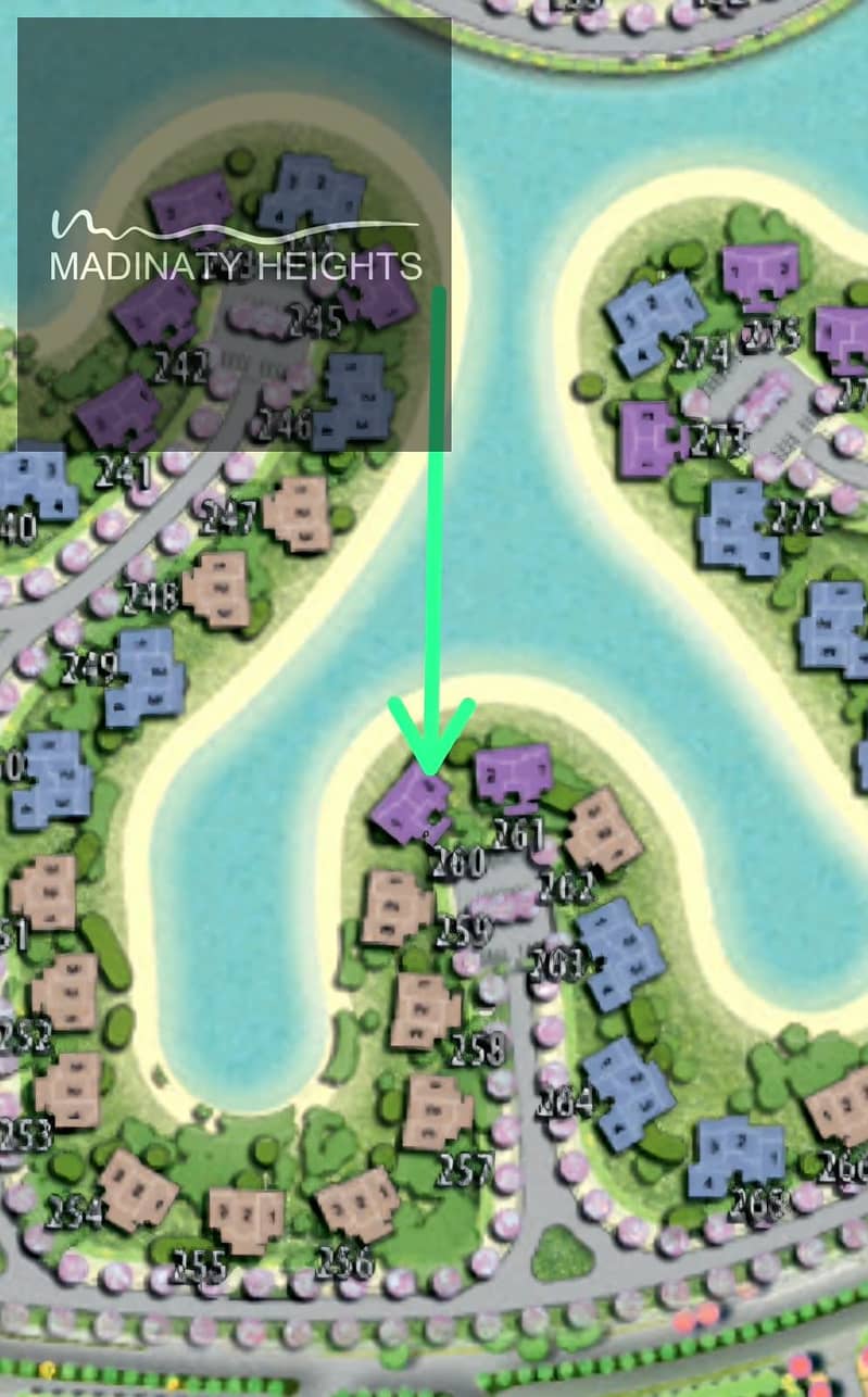 3 136671. jpg