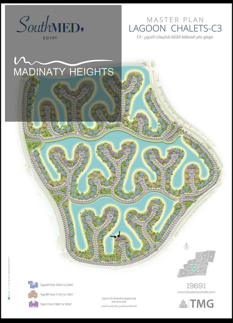4 136674. jpg