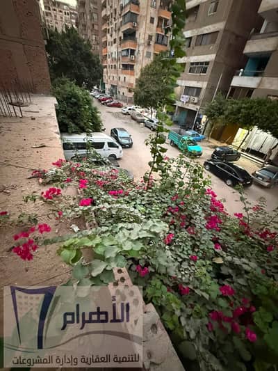 أرض للبيع في الهرم، الجيزة - 819040971_1392706189674245_8598272782647725566_n. jpg أرض للبيع في الهرم، الجيزة - 819040971_1392706189674245_8598272782647725566_n. jpg