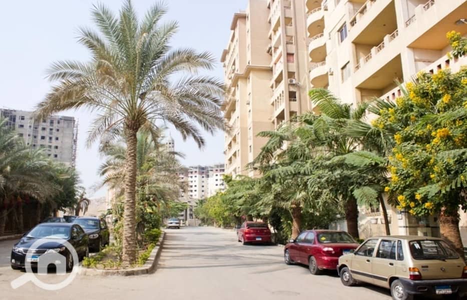 6 general palm (1). jpg