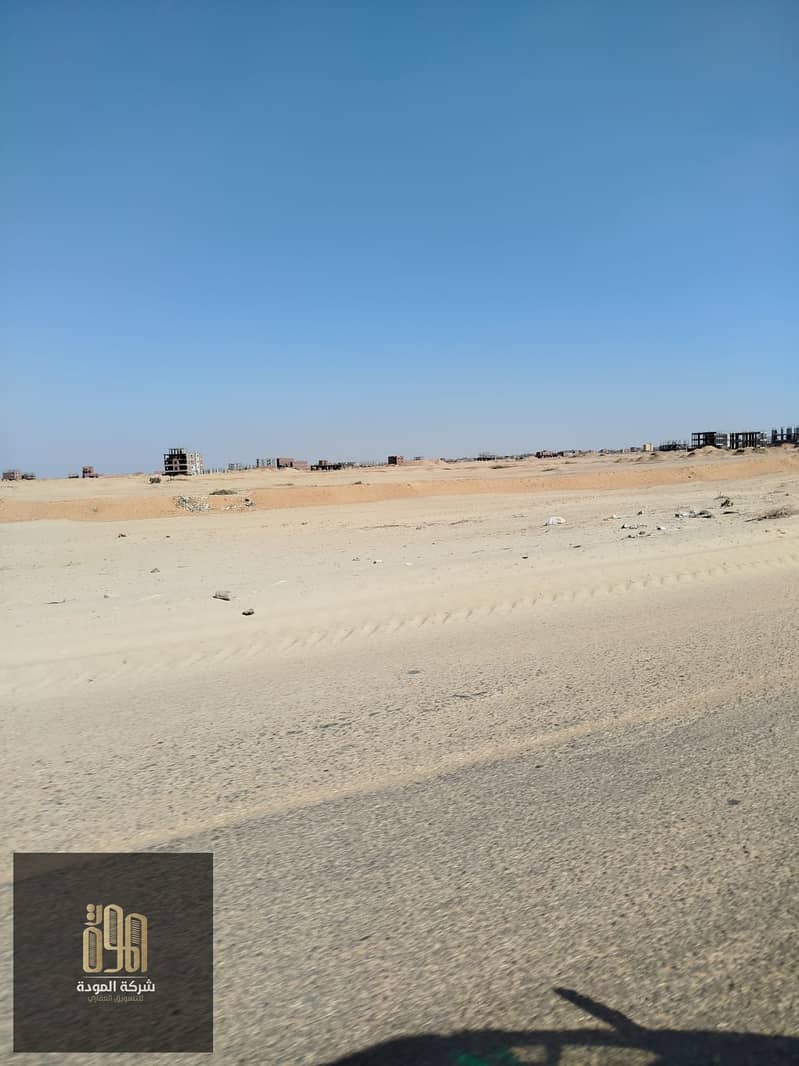 5 17. jpg
