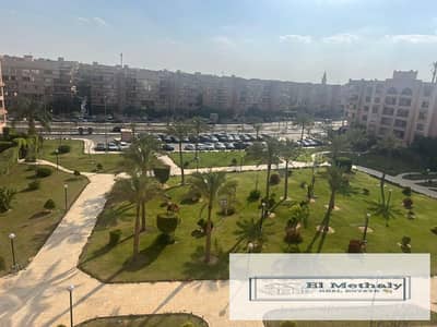 3 Bedroom Flat for Sale in New Cairo, Cairo - WhatsApp Image 2026-09-26 at 2.26. 56 PM (1). jpeg 3 Bedroom Flat for Sale in New Cairo, Cairo - WhatsApp Image 2026-09-26 at 2.26. 56 PM (1). jpeg