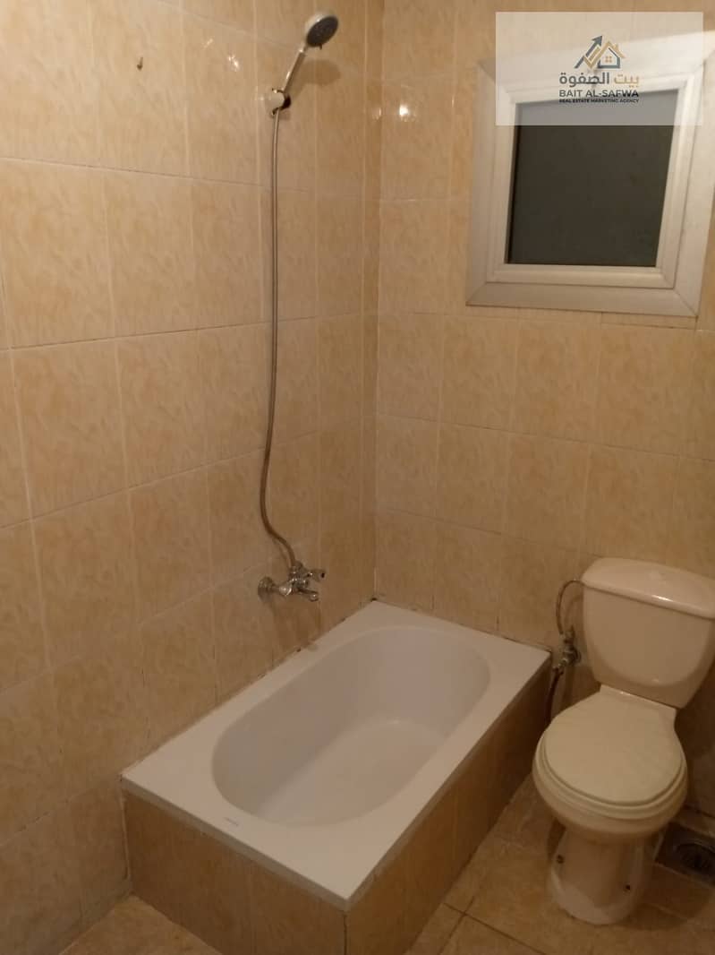 4 176302. jpg