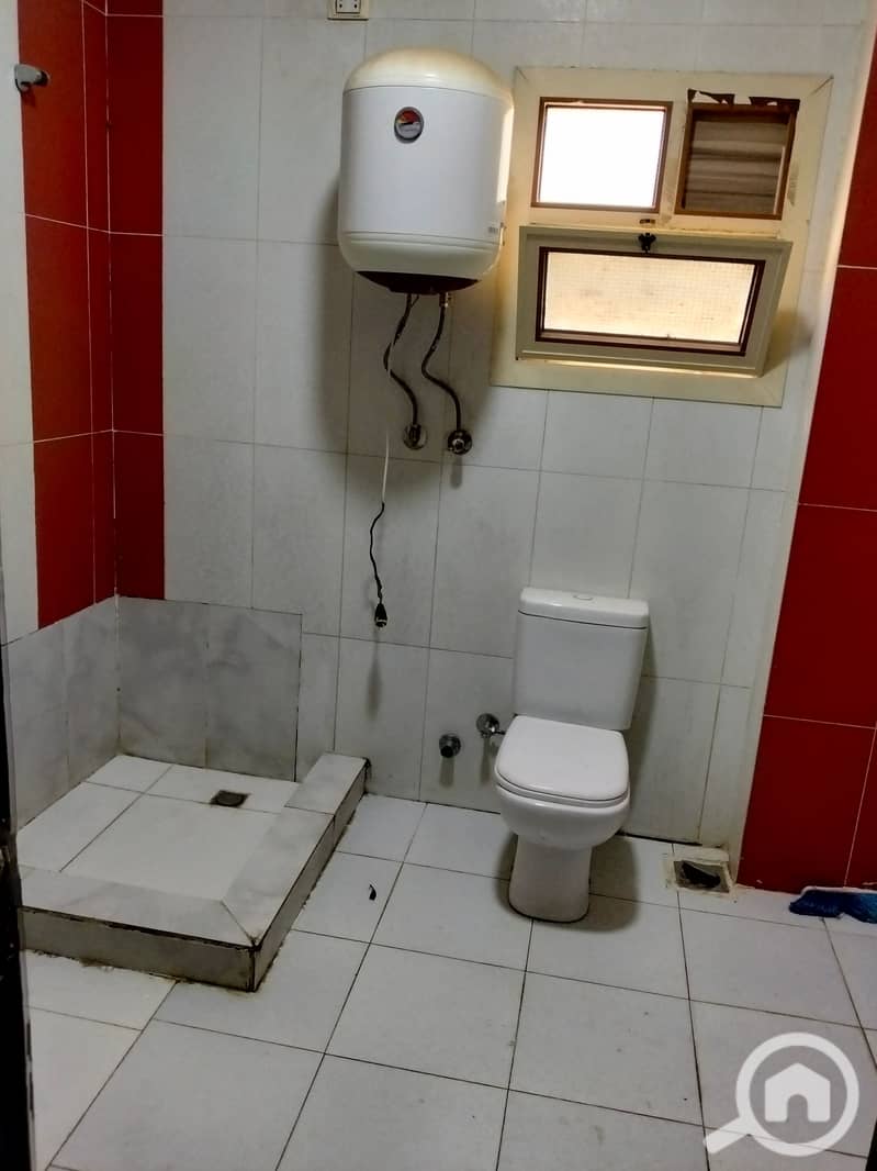 8 156181. jpg