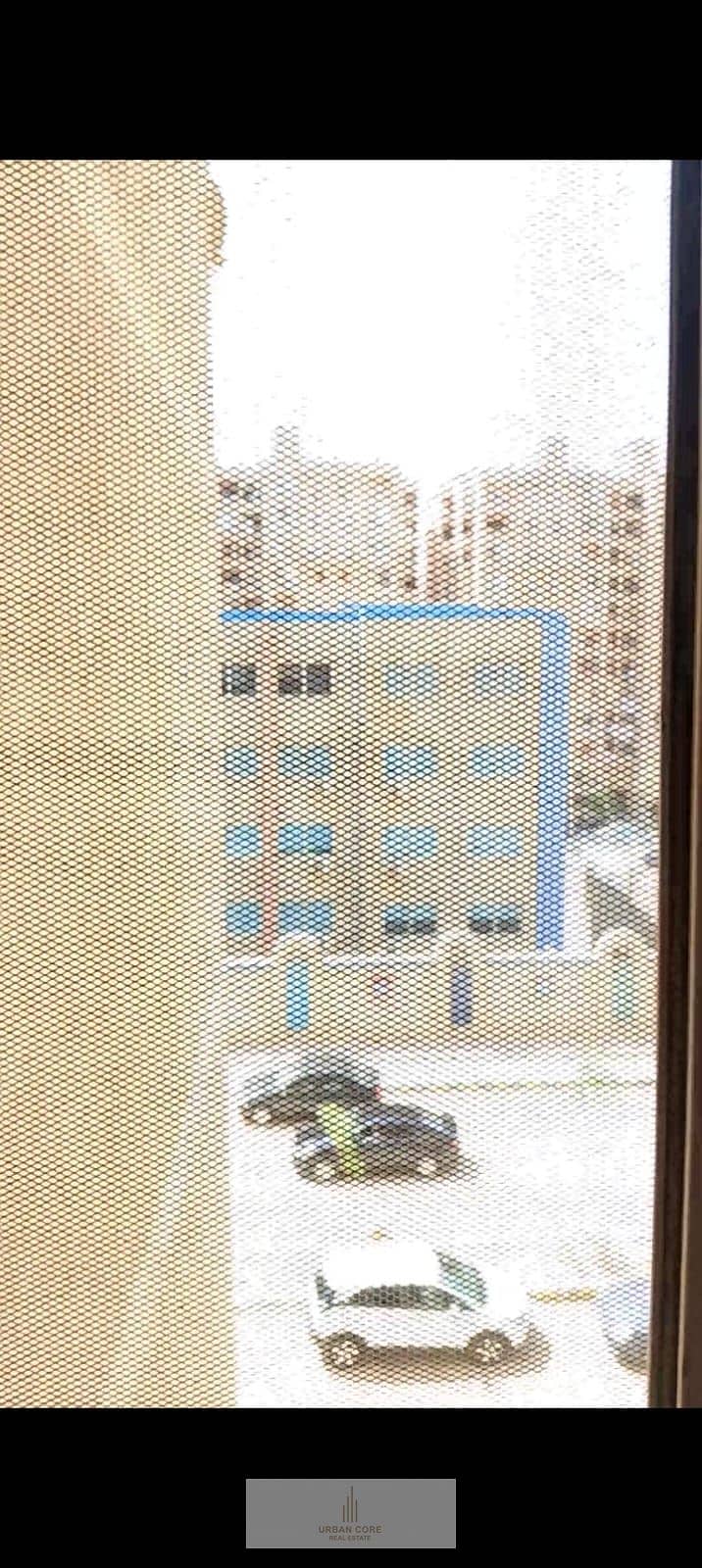 5 265889. jpg