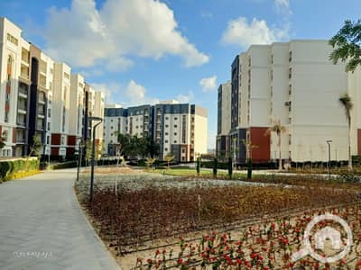 3 Bedroom Flat for Sale in Agami, Alexandria - WhatsApp Image 2026-08-22 at 10.28. 11 (2). jpeg