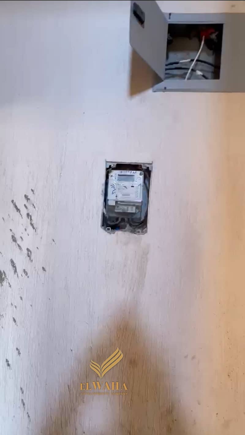 6 1000129677. jpg