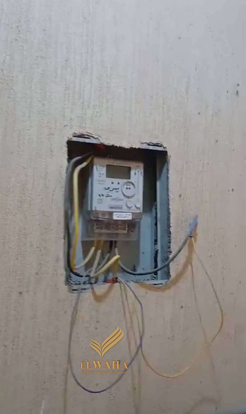 4 1000114960. jpg