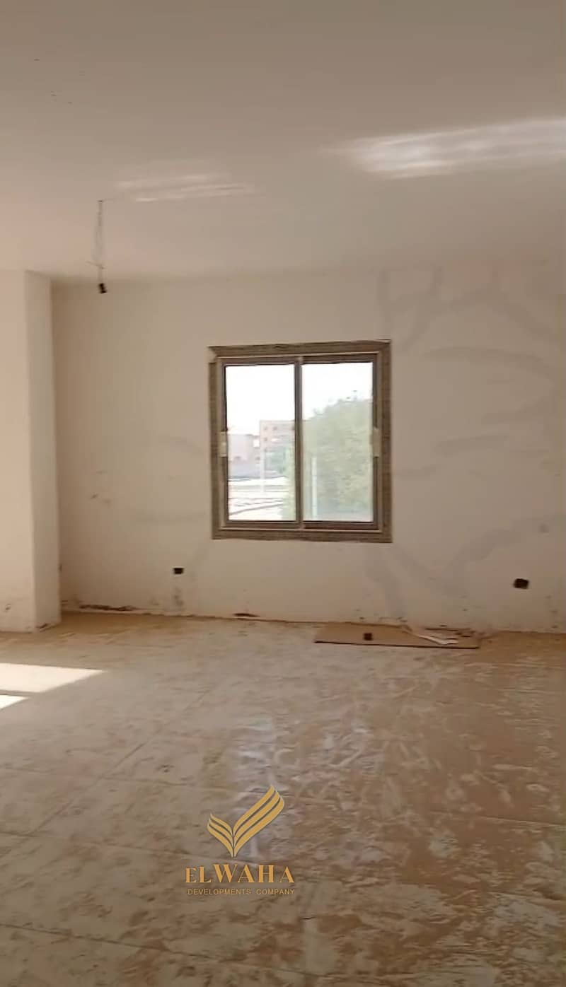 6 1000114962. jpg