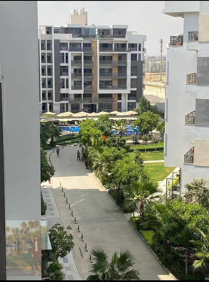 7 1000948943. jpg